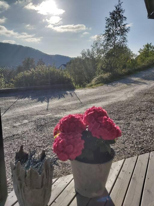Casa Monami Leilighet I Naturen Naer Bergen Leilighet Lonevåg Eksteriør bilde